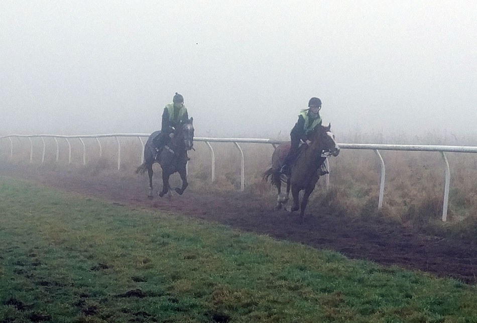 Misty gallop