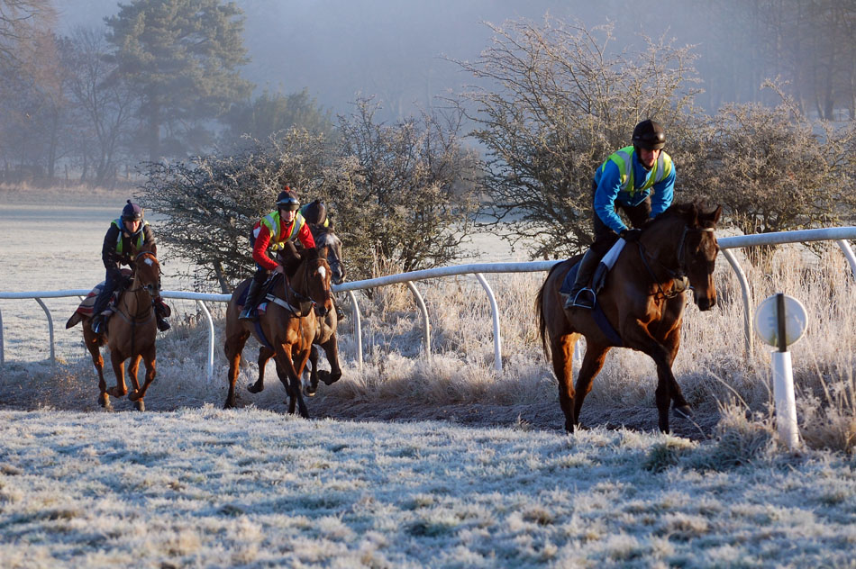Mid January Gallop