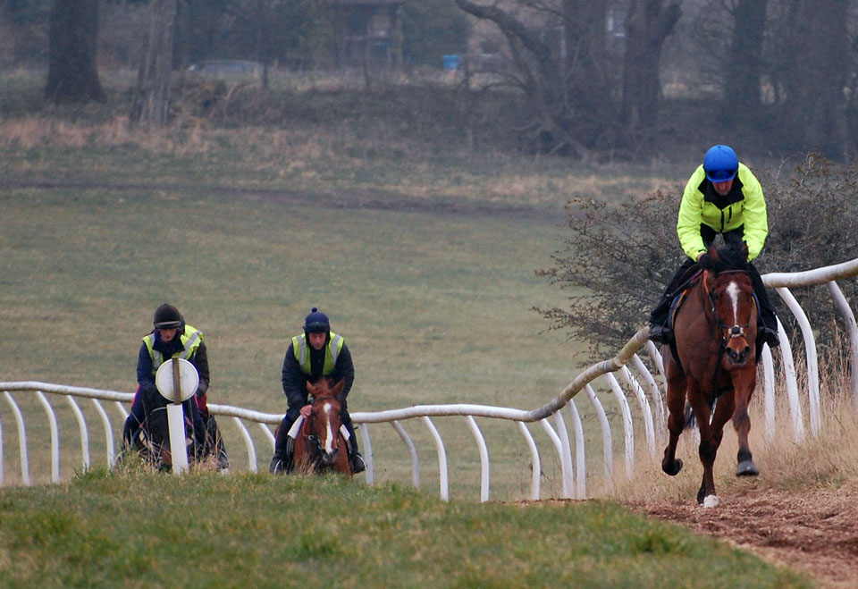 End March gallop lot 1