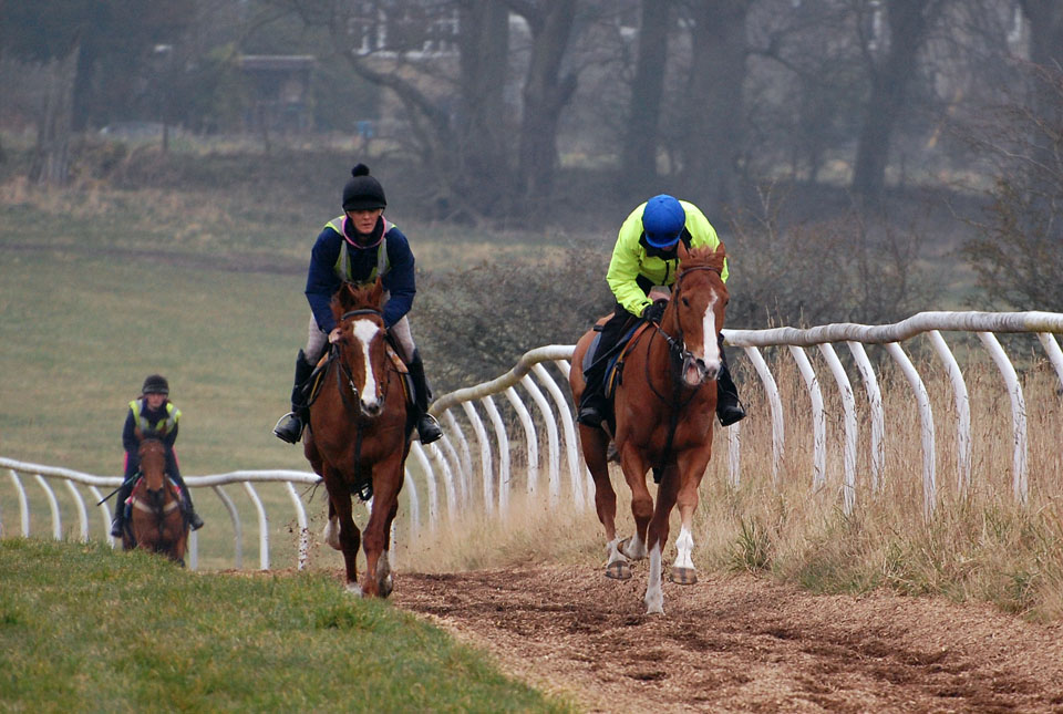 End March gallop lot 2