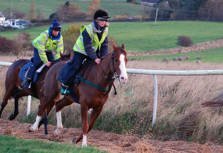 Percy on the gallops