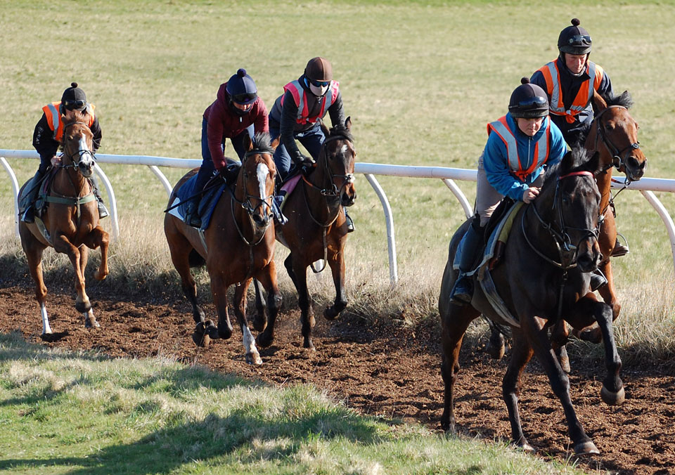 Theo leads the string
