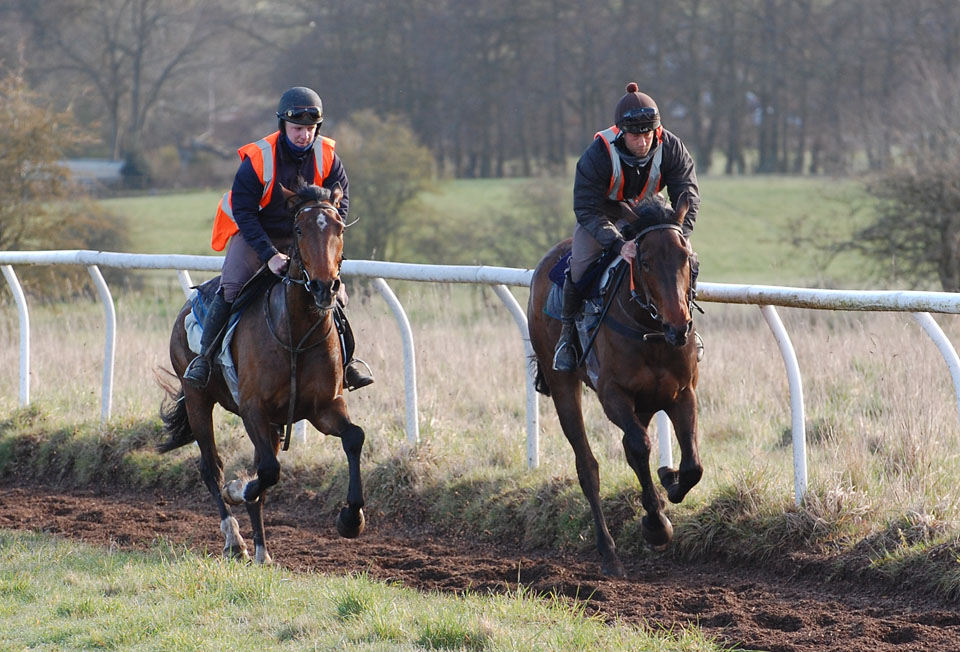April Gallop Lot 2