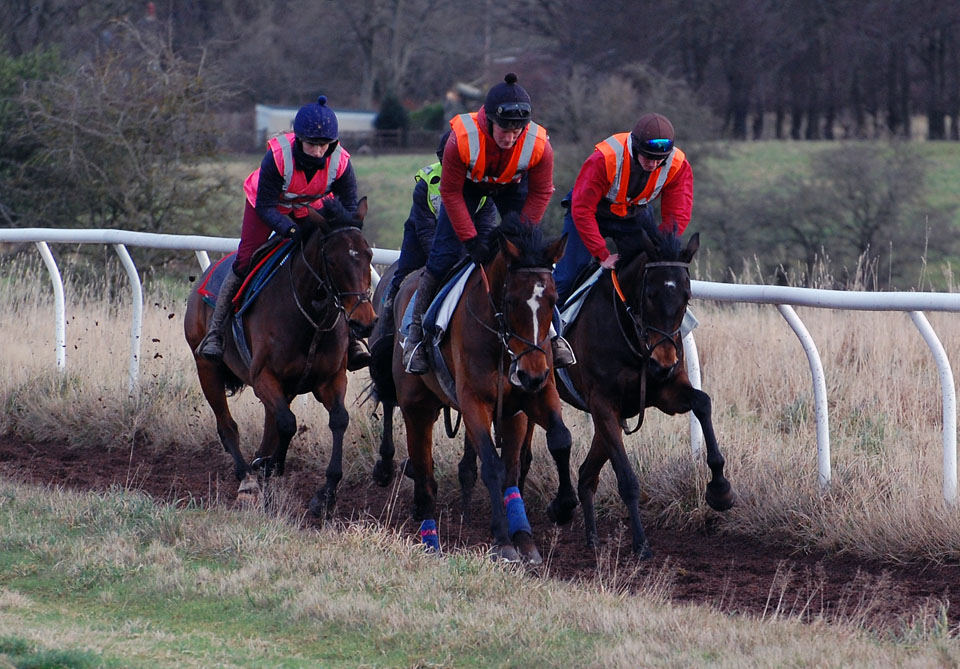 Maid of Houxty gallop
