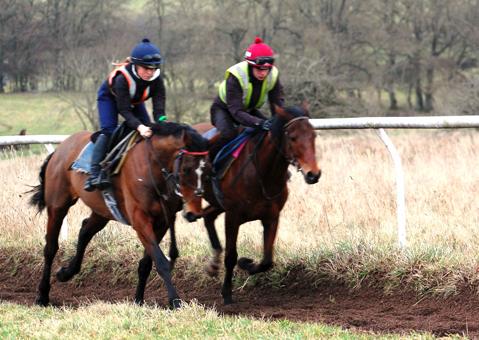 February Gallop