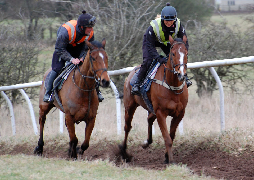 feb gallop