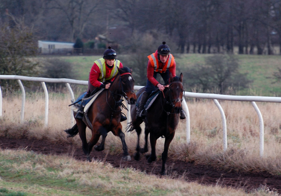 Mid January Gallop