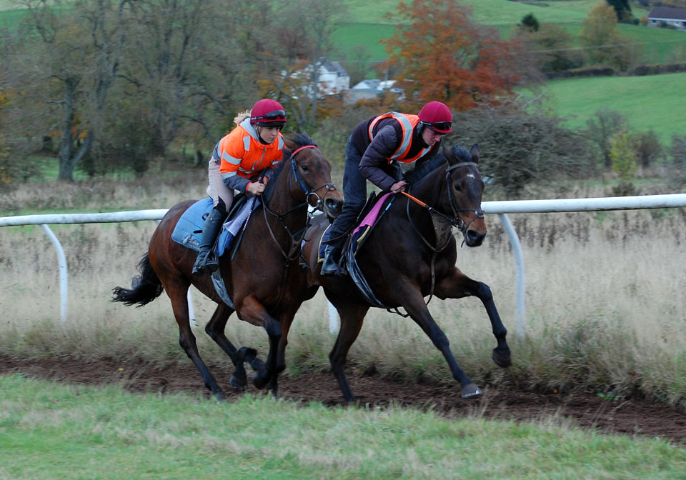 November gallop