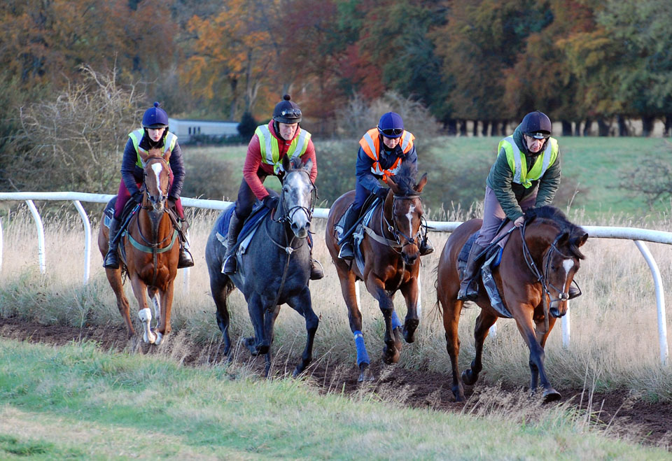 November gallop
