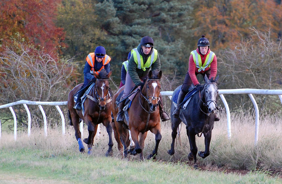 Early November gallop