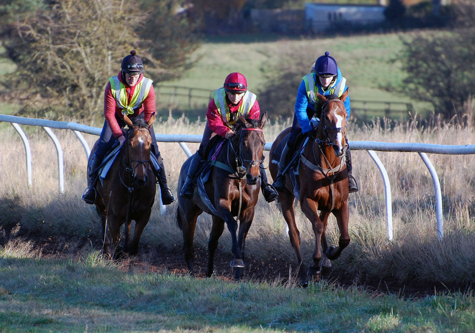 Mid November gallop