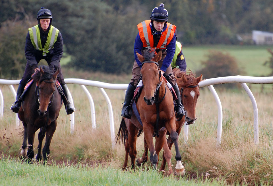 Niamh on the gallops