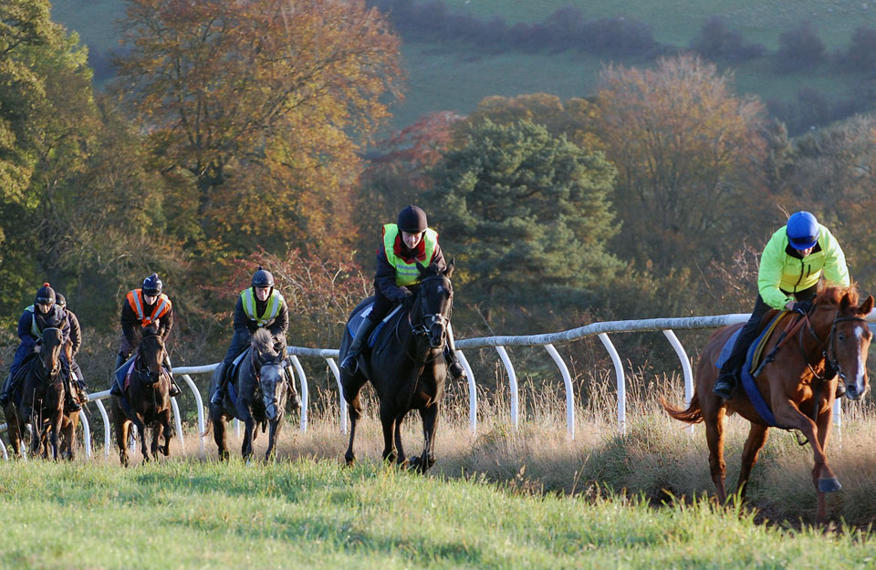 On the gallops