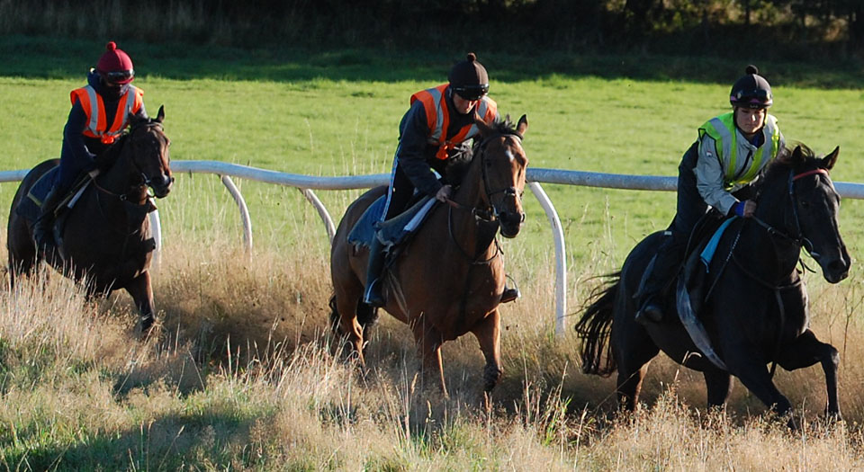 Early season gallop