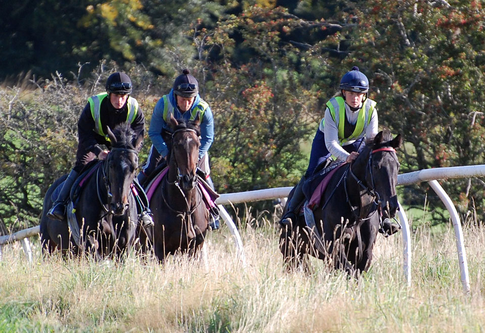 Matilda gallop