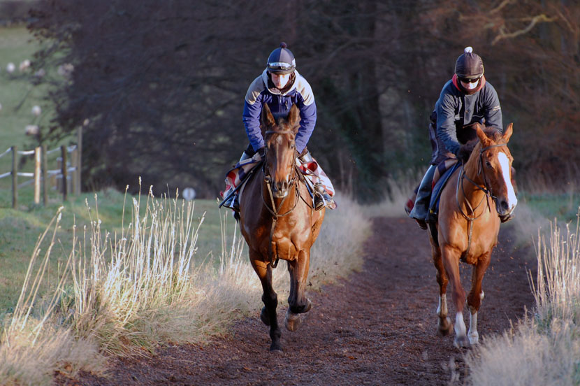December gallop