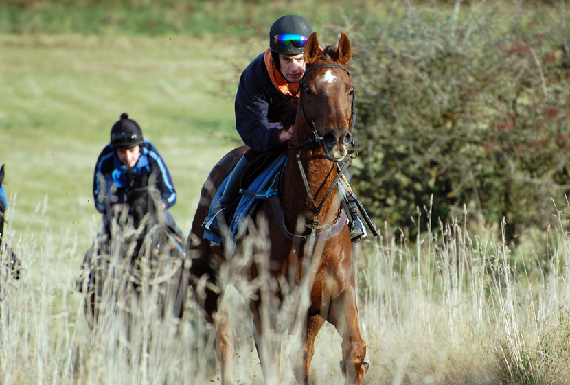 Sam on the gallops