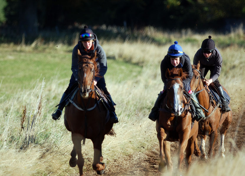 Early October gallop