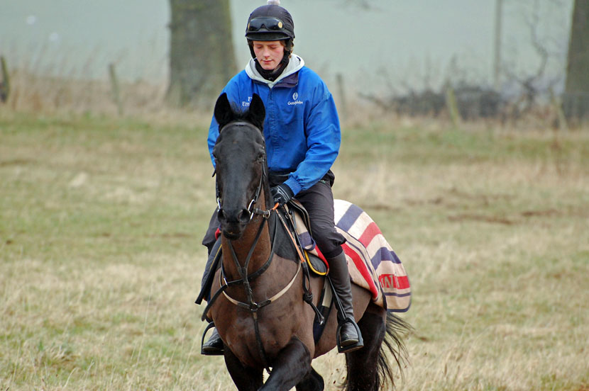 Allegheny Valley on gallops