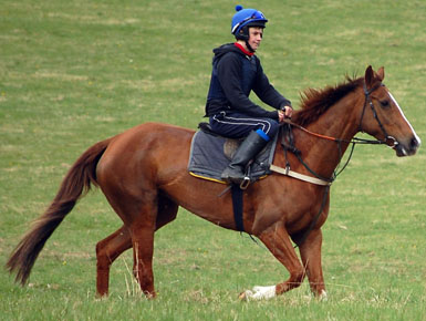 Bollin Fiona profile