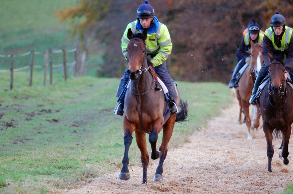 Julie on the gallops