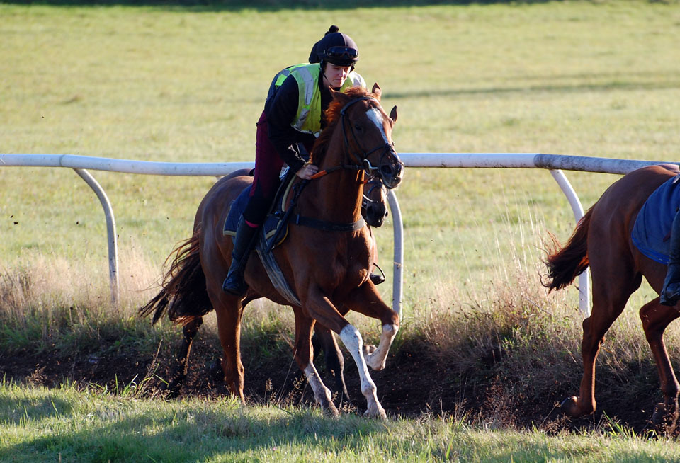 Both Barrells