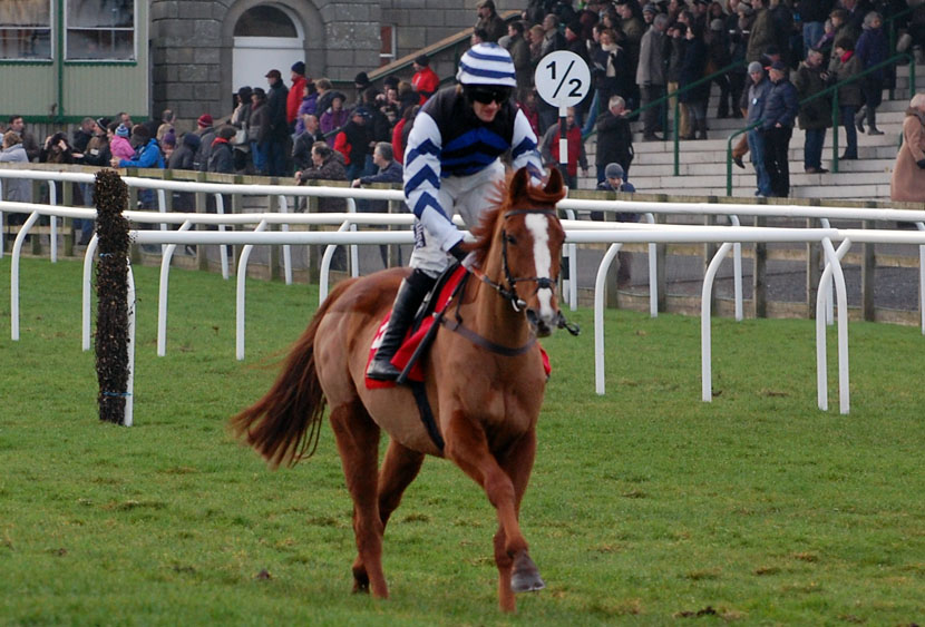 Hawaii Klass at the races