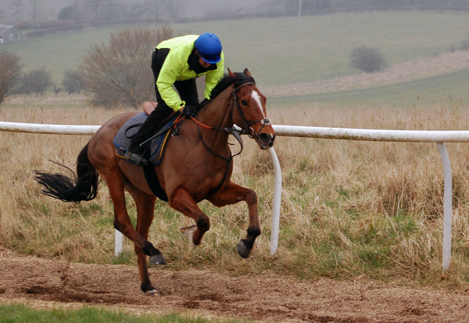 Kerr on the gallop