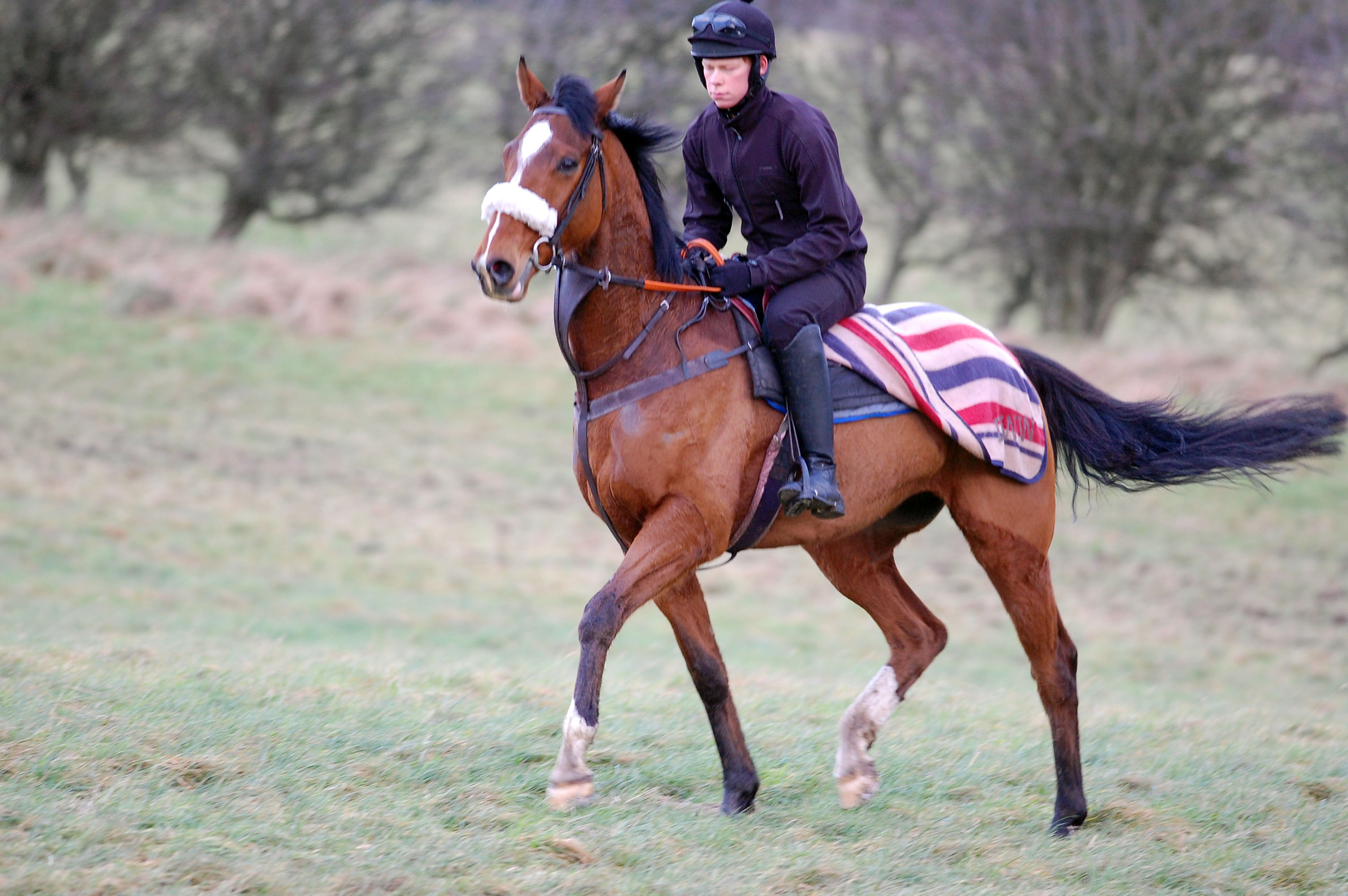 King Kalium pre gallop