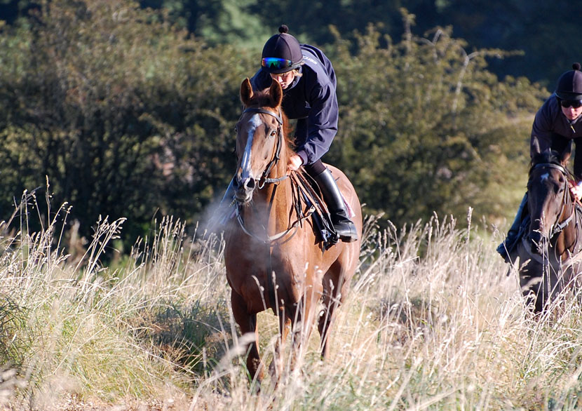 Leith Walk on the gallops