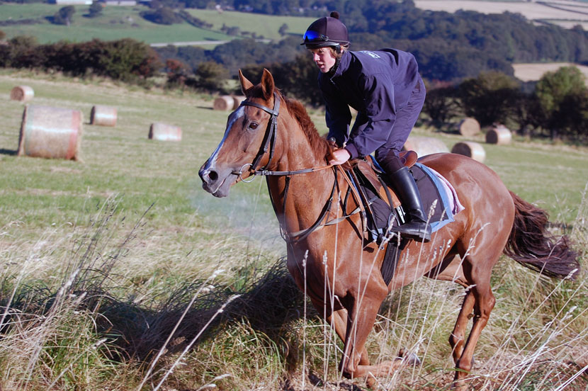 Leith Walk working well