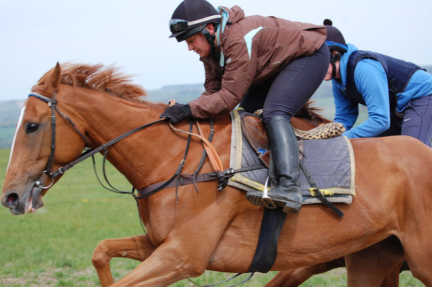 Mia close up on gallops