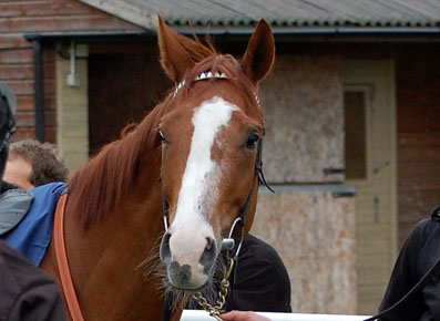 Nodda High Kid portrait