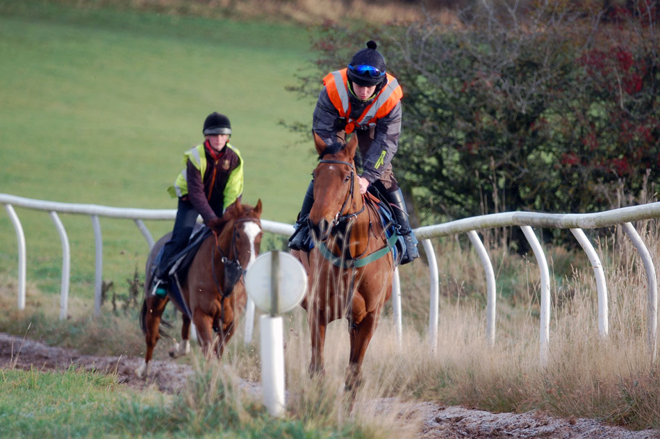 Niamh on the gallops