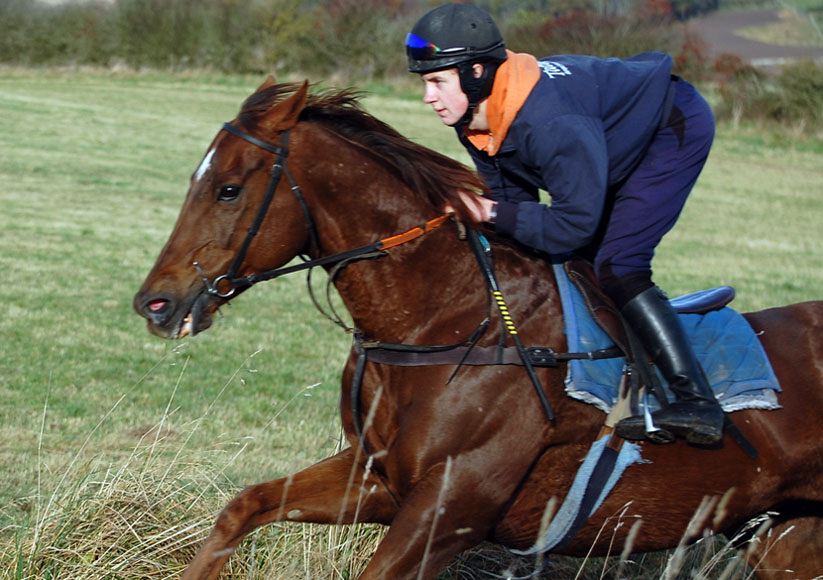Sam Patch on gallops 