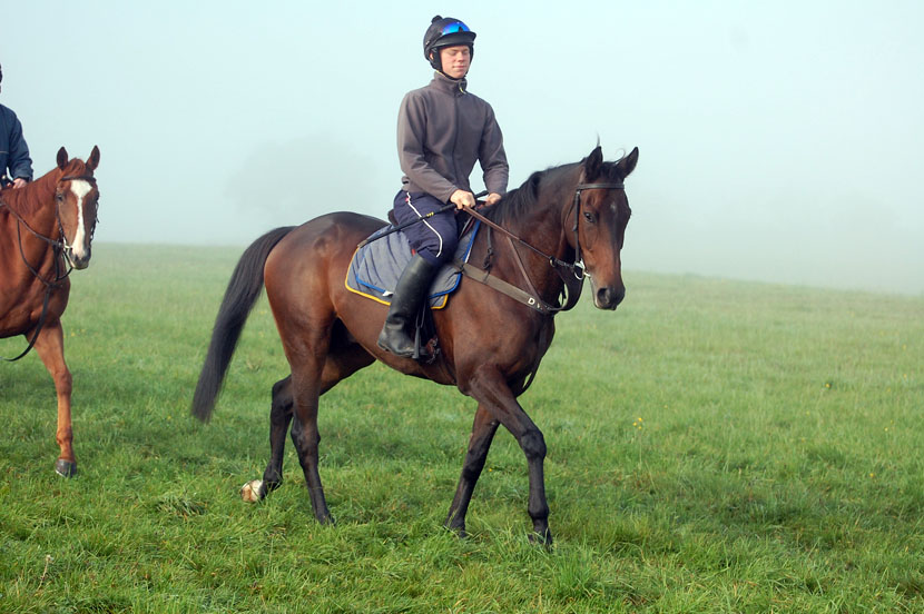 Snapping Turtle early season