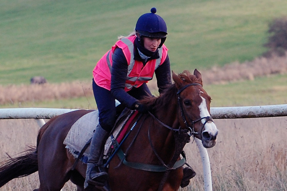 Mid November Gallop