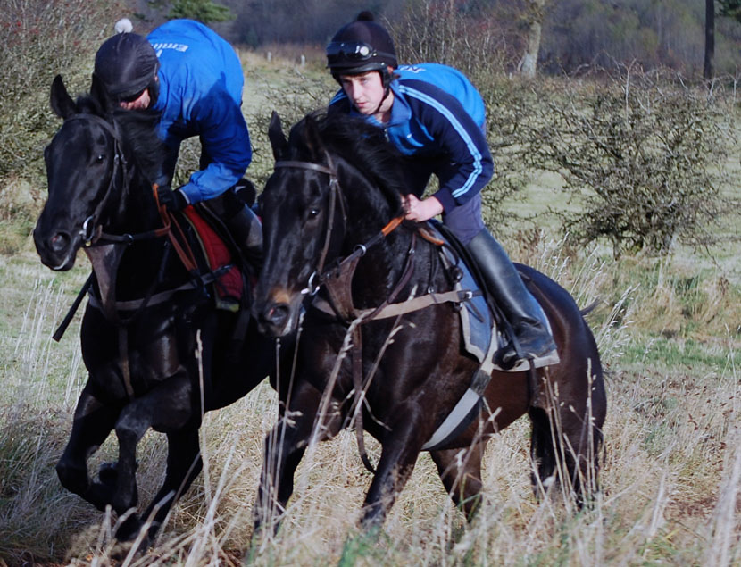 Yo La Tengo (nearside)