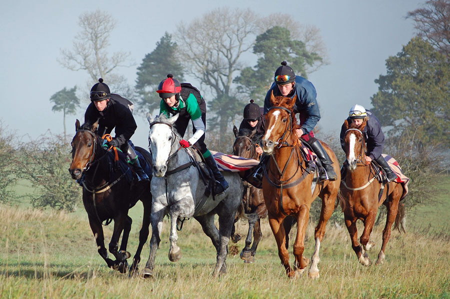 Dodlands Gallops 5