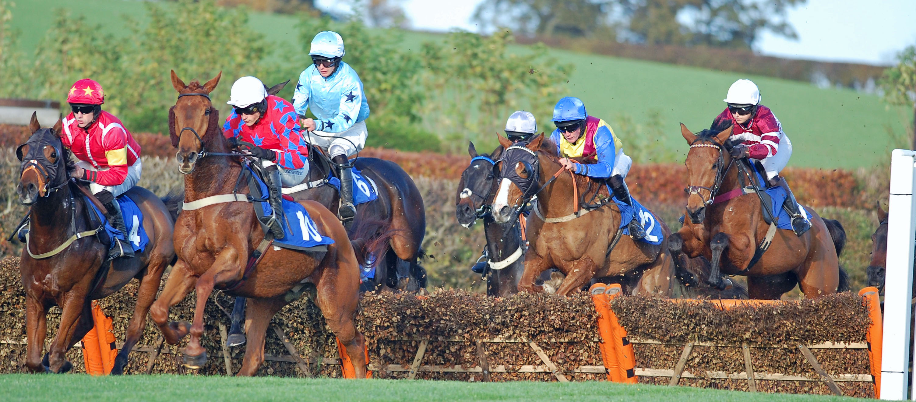 Bollin Fiona in racing action