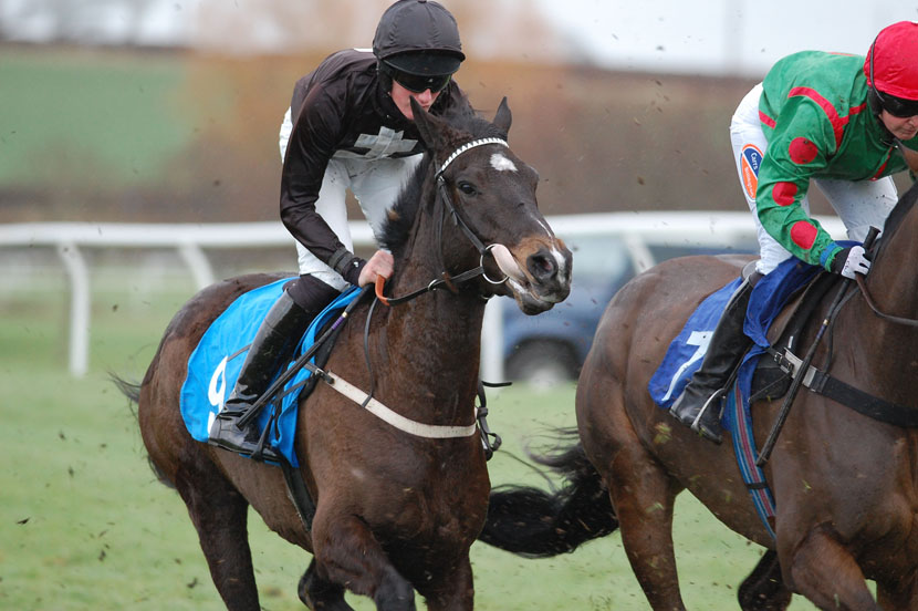 Mini the Minx tongue out