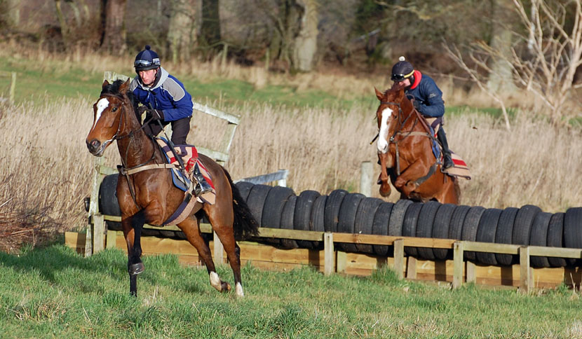 Belle and Hector jumping well