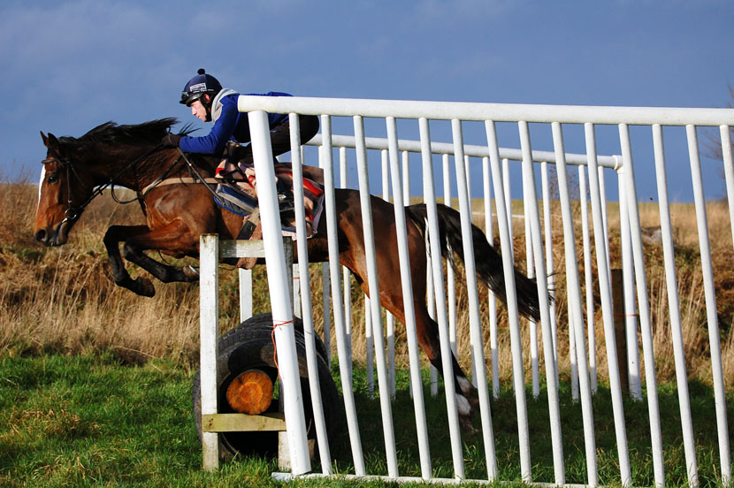 Ellistrin Belle makes a nice shape