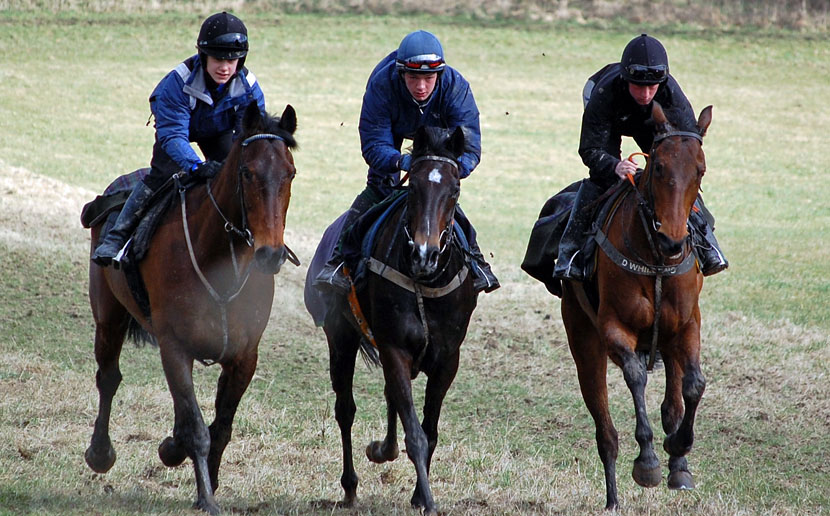 Jason, Craig and Garry